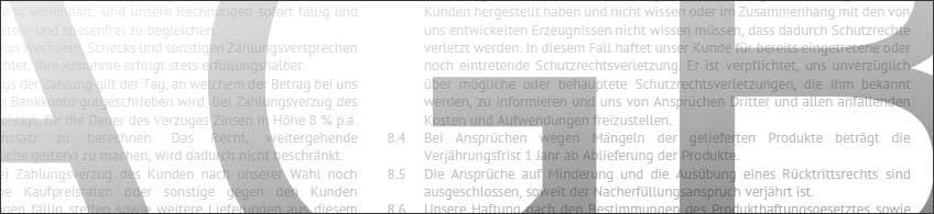 WEB-AGB-mit-Schein