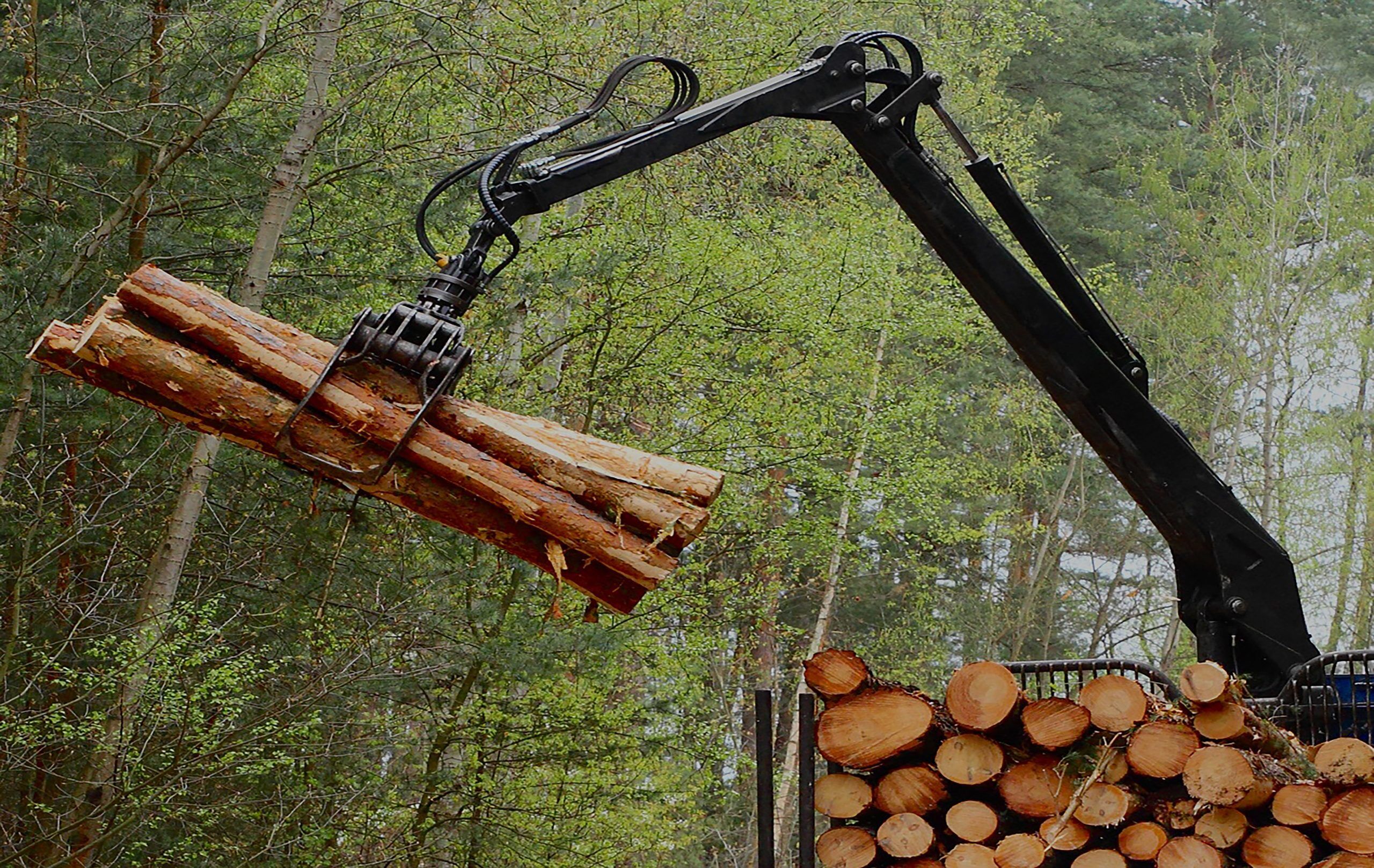 Harvester hebt Holzscheite im Wald und benötigt dafür biologisch abbaubare Schmieröle um reibungslos zu funktionieren und umweltverträglich zu arbeiten