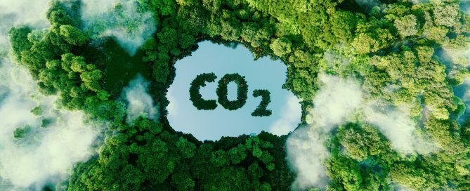 Ein Wald mit Bäumen von oben mit einer Wolke mit dem Schriftzeichen CO2 in der Mitte als Symbol für Nachhaltigkeit